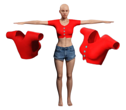 Blouse for Women